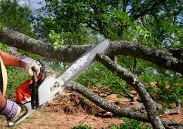 Best Organic Lawn Care Solutions  in Marco Island, FL